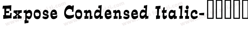 Expose Condensed Italic字体转换